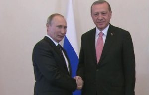 33e453.jpg