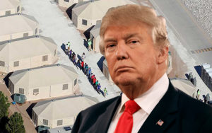 migrant-745x405